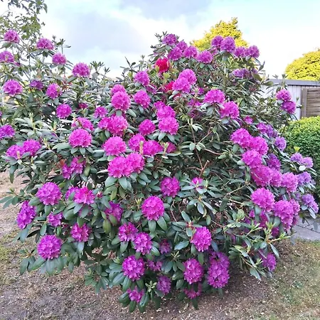 Gaestehaus Kuehn Eg Rechts N1 Apartmán *